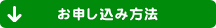 ���\�����ݕ��@