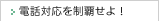 �d�b�Ή��𐧔e����I