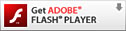 Adobe Flash Player