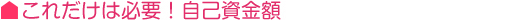 これだけは必要！自己資金額