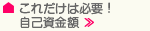 これだけは必要！自己資金額