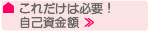 これだけは必要！自己資金額