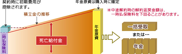 定額年金保険とは