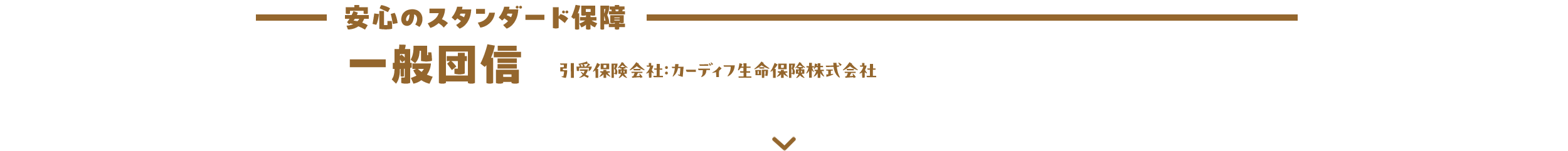 安心のスタンダード保障 一般団信 引受保険会社：カーディフ生命保険株式会社