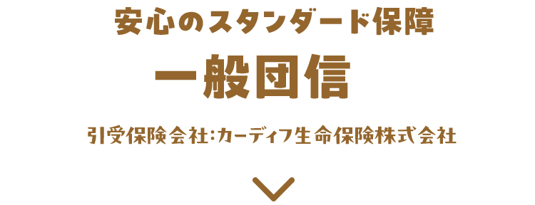 安心のスタンダード保障 一般団信 引受保険会社：カーディフ生命保険株式会社