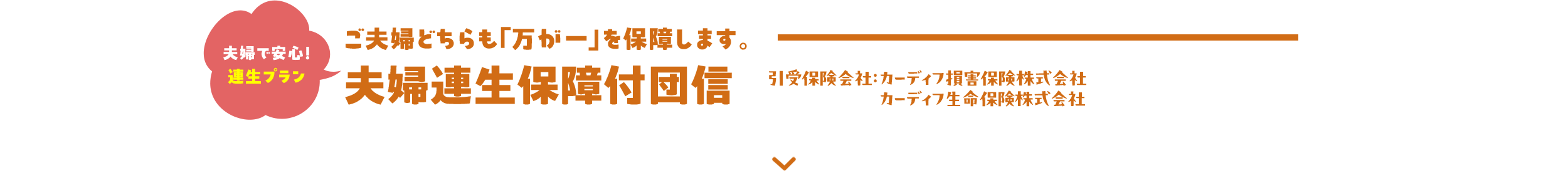 夫婦で安心！連生プラン ご夫婦どちらも『万が一』を保障します。 夫婦連生保障付団信 引受保険会社：カーディフ損害保険株式会社 カーディフ生命保険株式会社
