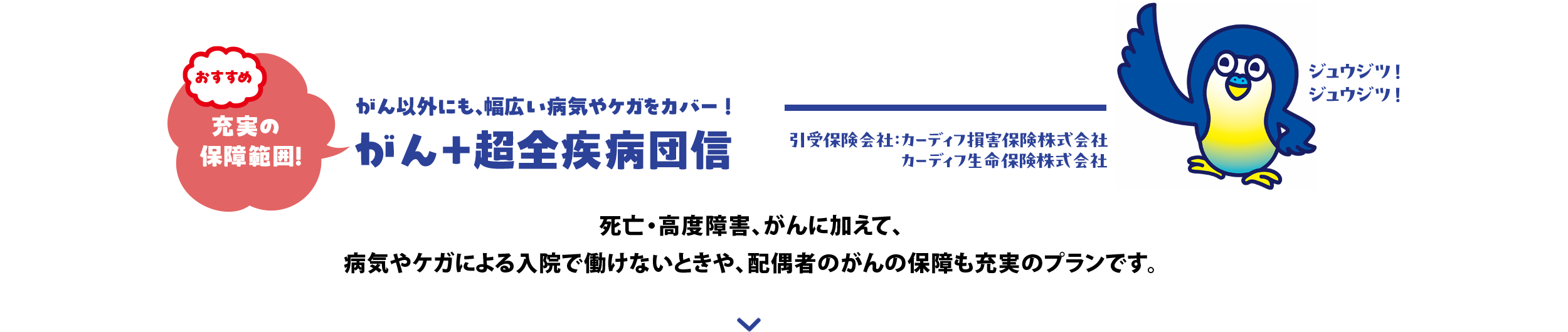 【おすすめ】充実の保障範囲！ がん以外にも、幅広い病気やケガをカバー がん＋超全疾病団信 引受保険会社：カーディフ損害保険株式会社 カーディフ生命保険株式会社 死亡・高度障害、がんに加えて、病気やケガによる入院で働けないときや、配偶者のがんの保障も充実のプランです。