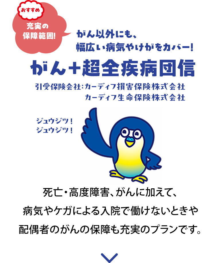 【おすすめ】充実の保障範囲！ がん以外にも、幅広い病気やケガをカバー がん＋超全疾病団信 引受保険会社：カーディフ損害保険株式会社 カーディフ生命保険株式会社 死亡・高度障害、がんに加えて、病気やケガによる入院で働けないときや、配偶者のがんの保障も充実のプランです。