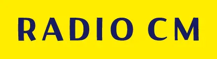 radioセクションへのアンカー