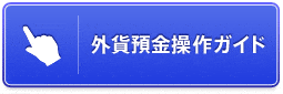 外貨預金操作ガイド