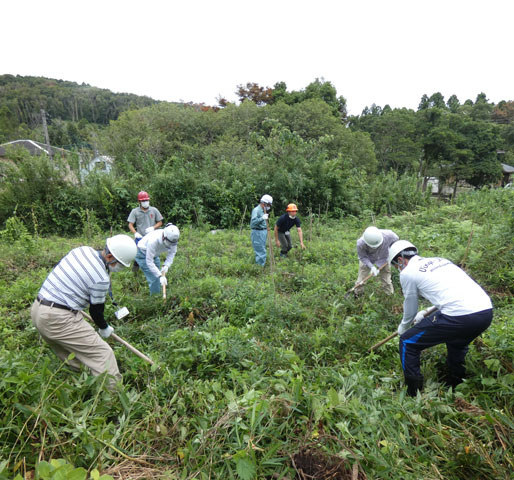 大鎌を使った下草狩り体験