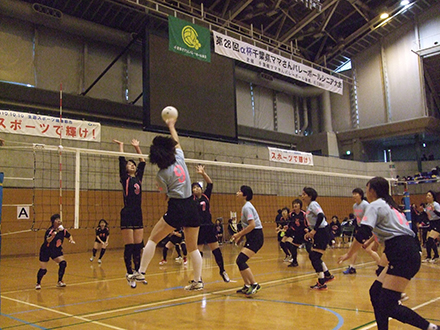 volley_2.jpg