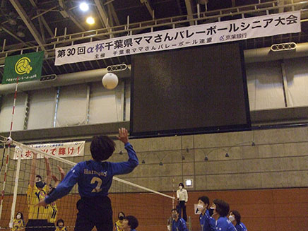 volley_2.jpg