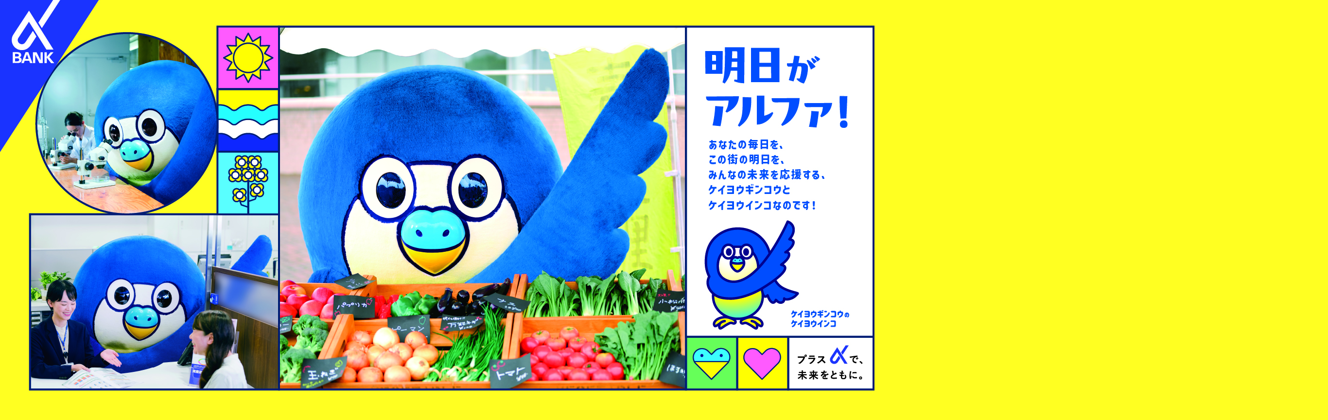 明日がアルファ！プラスαで、未来をともに。はじめまして、ケイヨウギンコウのケイヨウインコです！決めポーズはアルファです！よろしく。テーマソングの歌詞は応援したいよ　この街の未来　応援したいよ　みんなの挑戦　だからぼくらも　挑戦するよ
