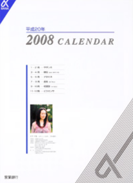 2008 CALENDAR