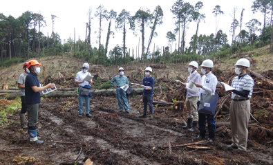 京葉銀行森林SDGs私募債を通じた森林視察ツアーの開催